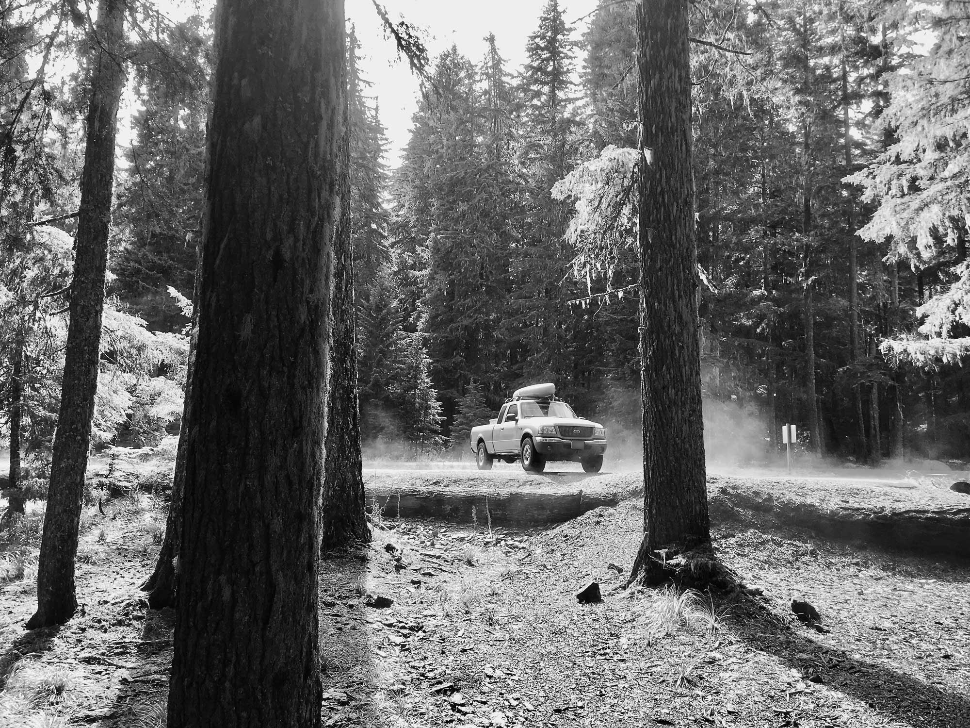 Black and white trees in front of a small truck with a kayak on top