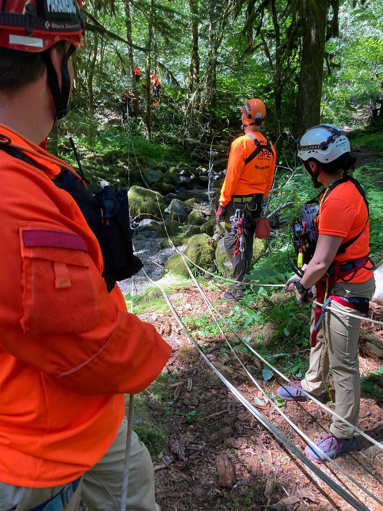 Search and rescue volunteers training in rope rescue, with members wearing orange shirts and helmets holding ropes extending over a creek
