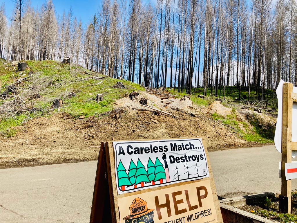 Burnt tress in the background with a sign that says a careless match destroys and help    