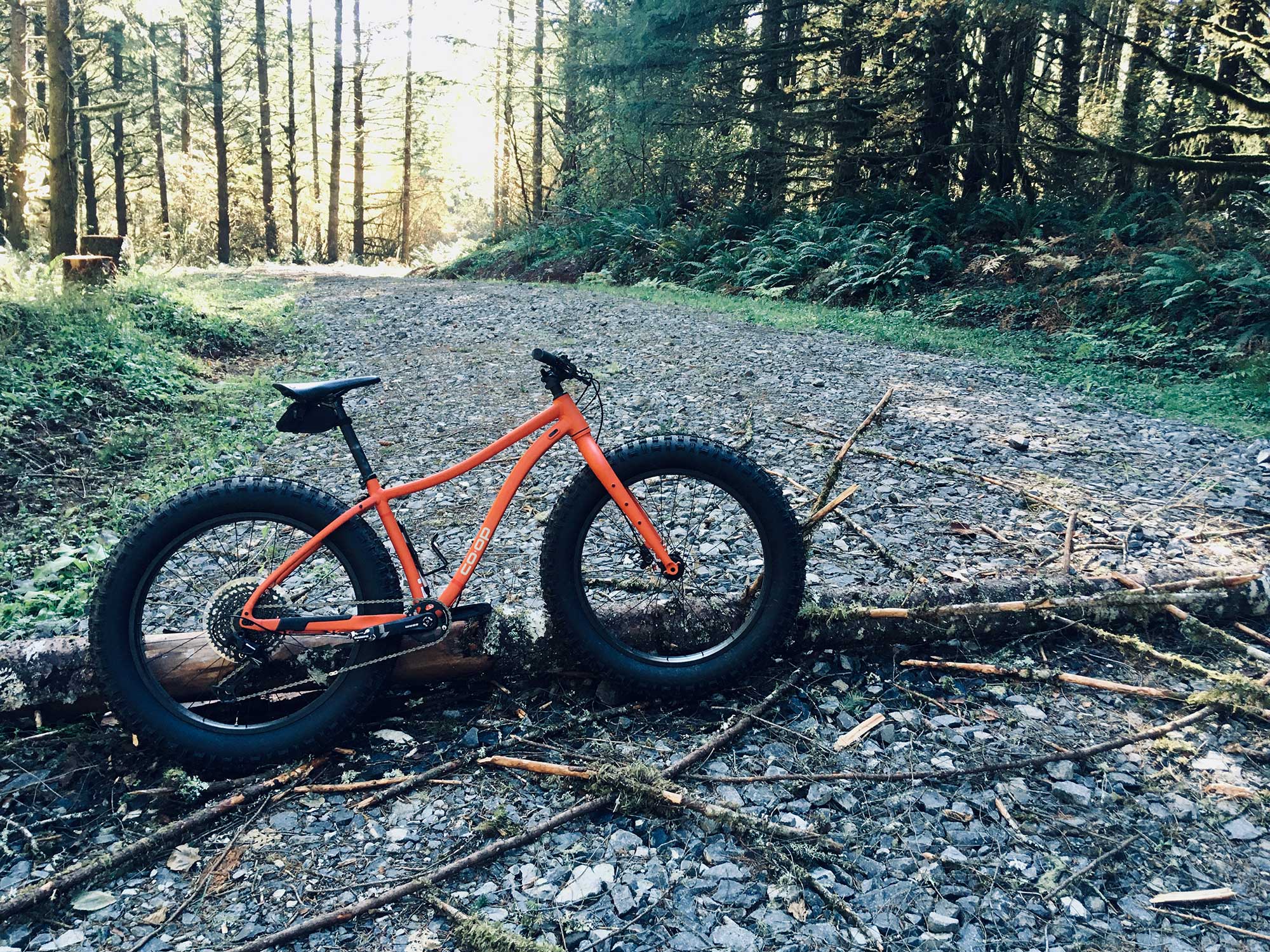 Orange bike with fat tires leaning against a log on a gravel road in the forest