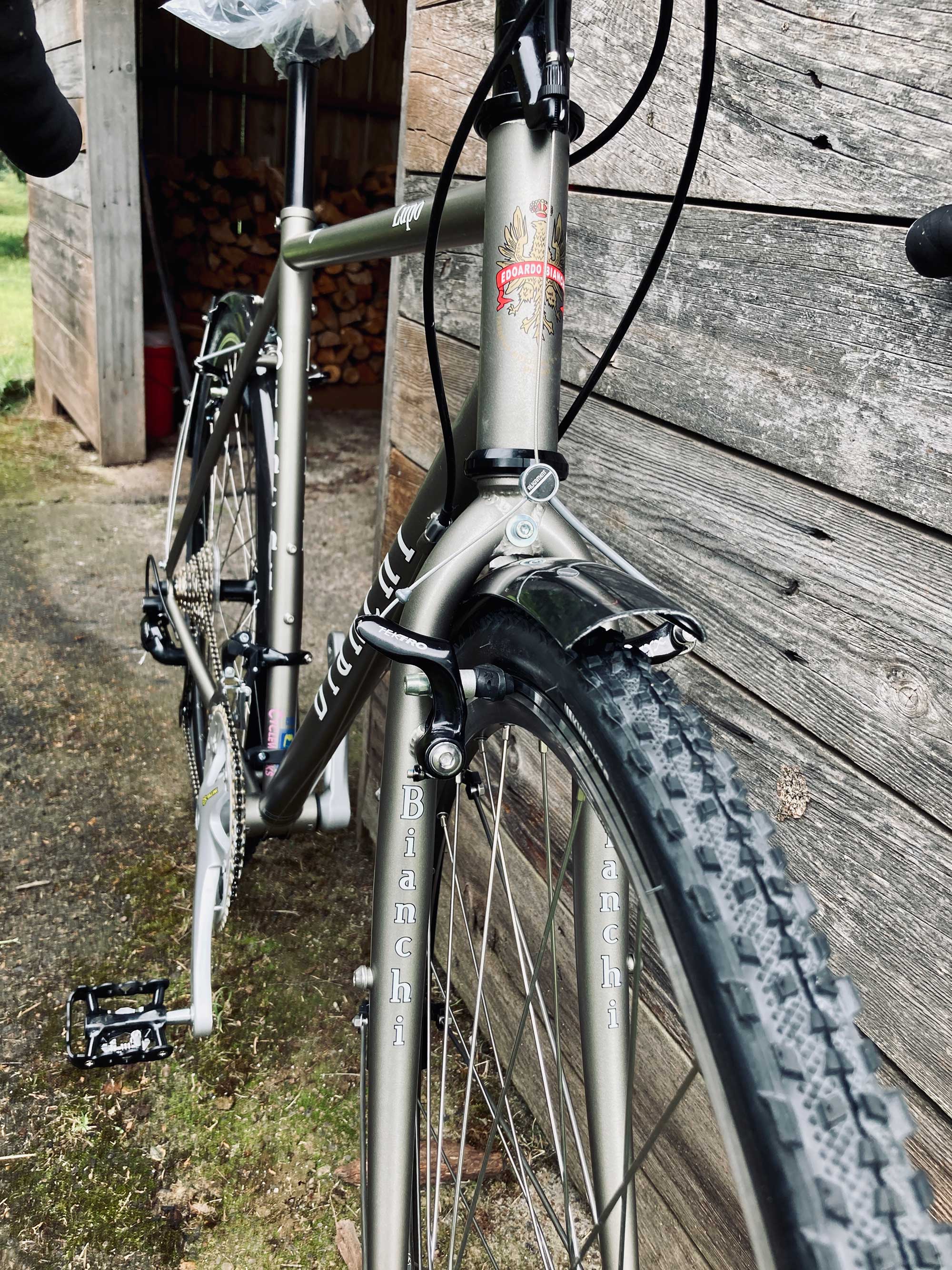 Bianchi Lupo bike from the front with aggressive tires and fenders