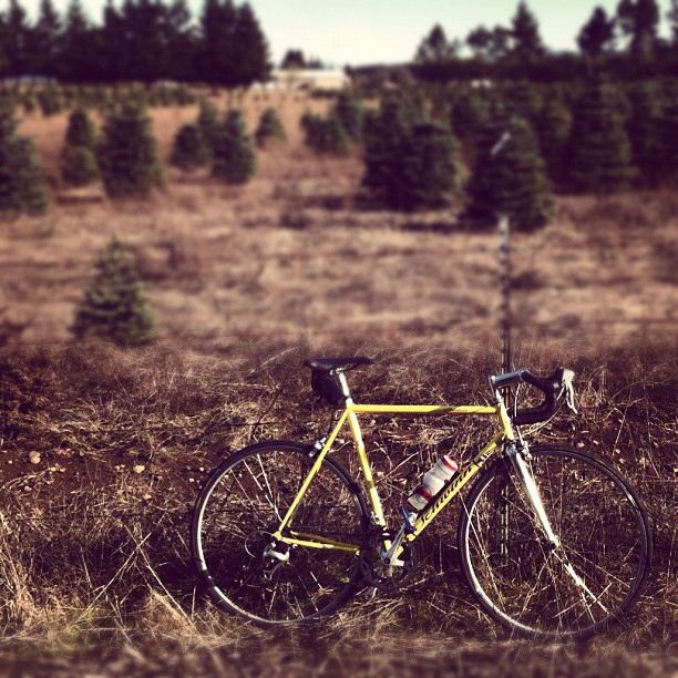 Yellow Schwinn Peloton bike in front of a brown field with green fir trees