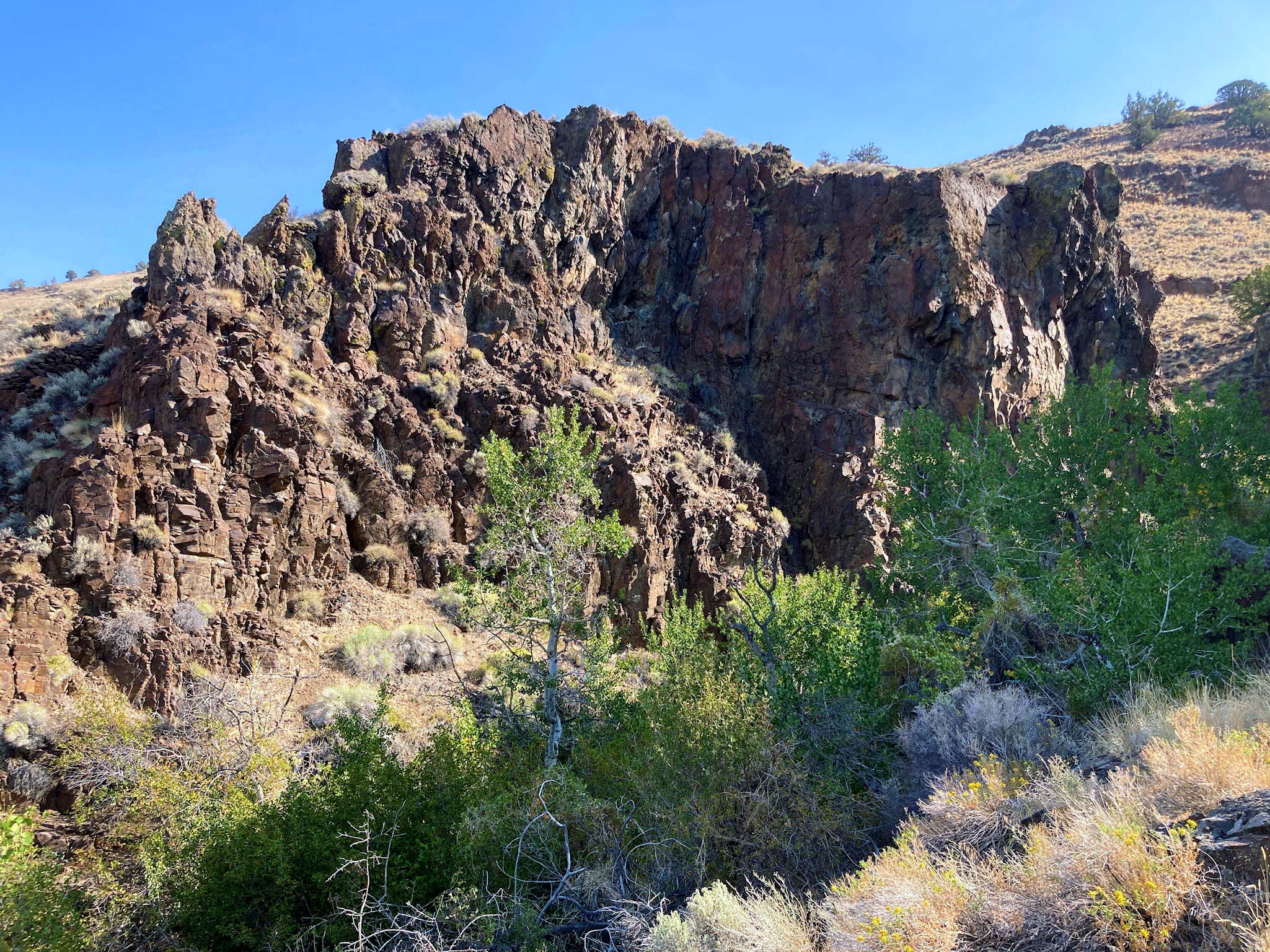A rugged basalt rock wall, with reddish tint and green trees at its base