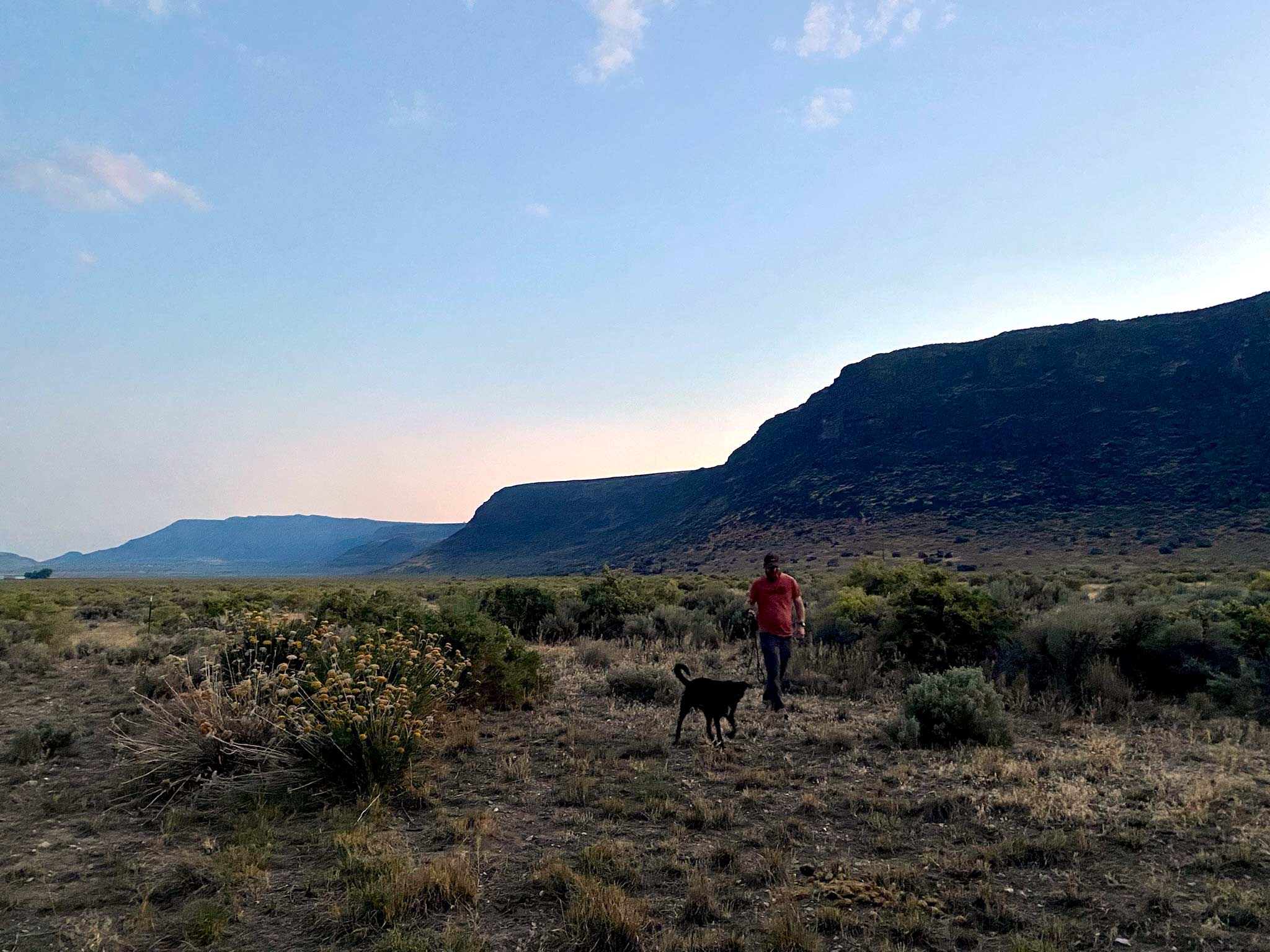 Late evening, blue sky, with hills in the background, and a man in an orange shirt walking a black dog through sagebrush and desert plants