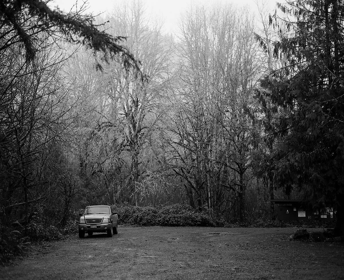 A pickup truck in a gravel parking lot with trees rising to the sky all around