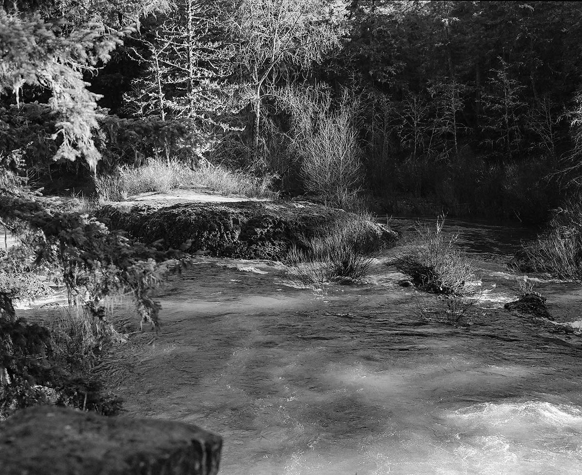 A river running along basalt rock with trees lining the banks