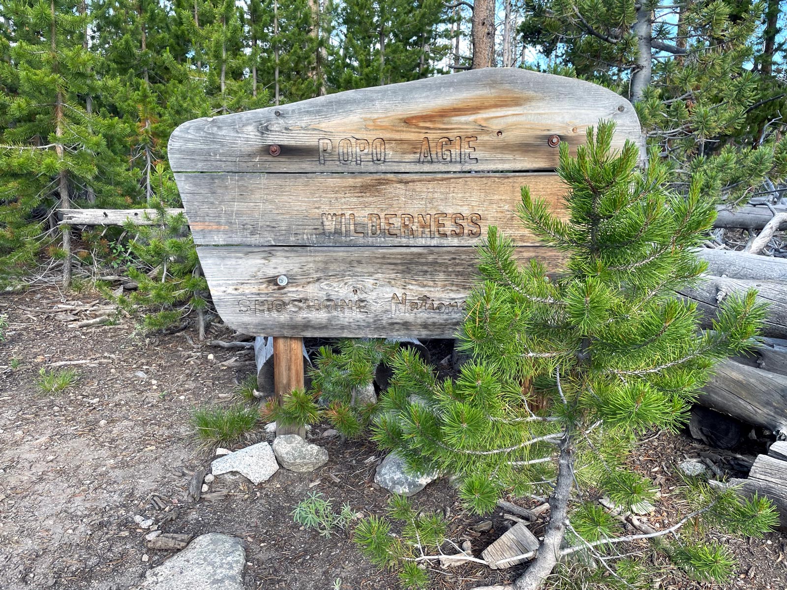 A wood-carved sign that reads Popo Agie Wilderness