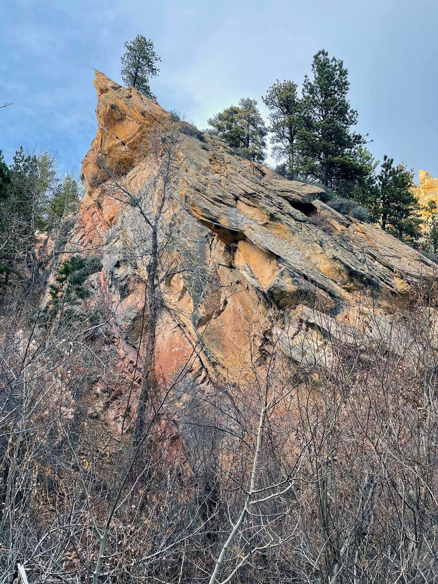 An angled outcropping of rock with trees growing from the top and brush in the foreground