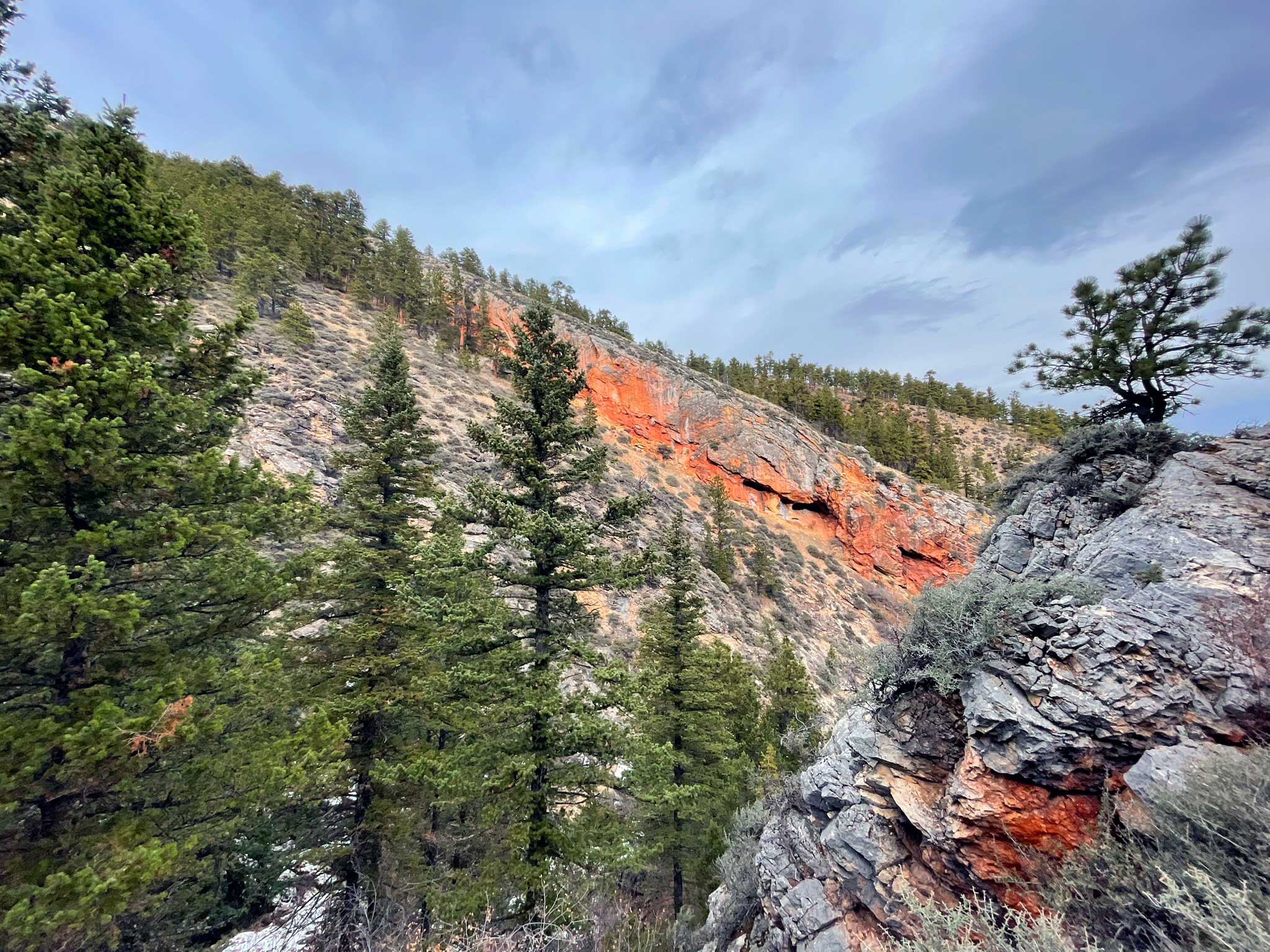 Sloping rocky hillsides with red layers of rock line a canyon with conifer trees scattered