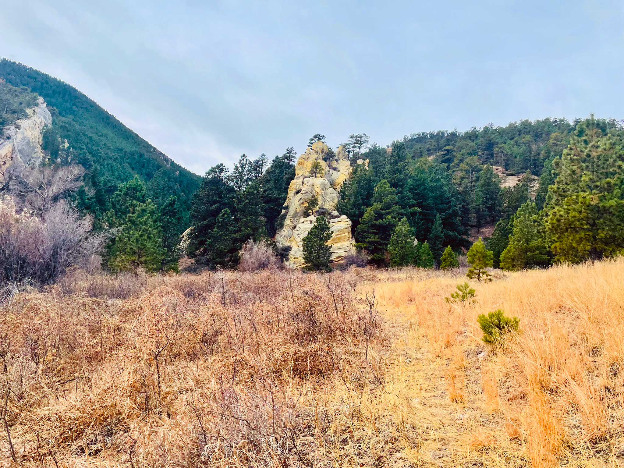 Golden grass meadow leads to forested hillsides with a rock outcropping in the middle of the frame