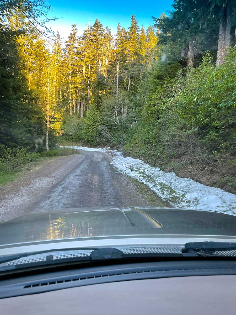 A one-lane gravel road seen from inside a vehicle with snow and trees lining the side, with sunshine on trees in the distance