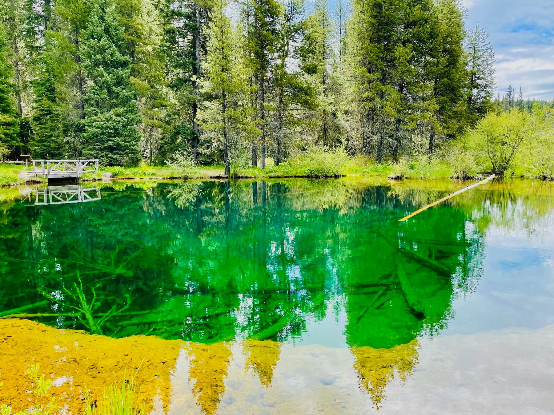 A closer view of an emerald colored lake with a wooden lookout at the far end surrounded with trees and tall meadow grass, with logs visible at the bottom of the lake's clear water