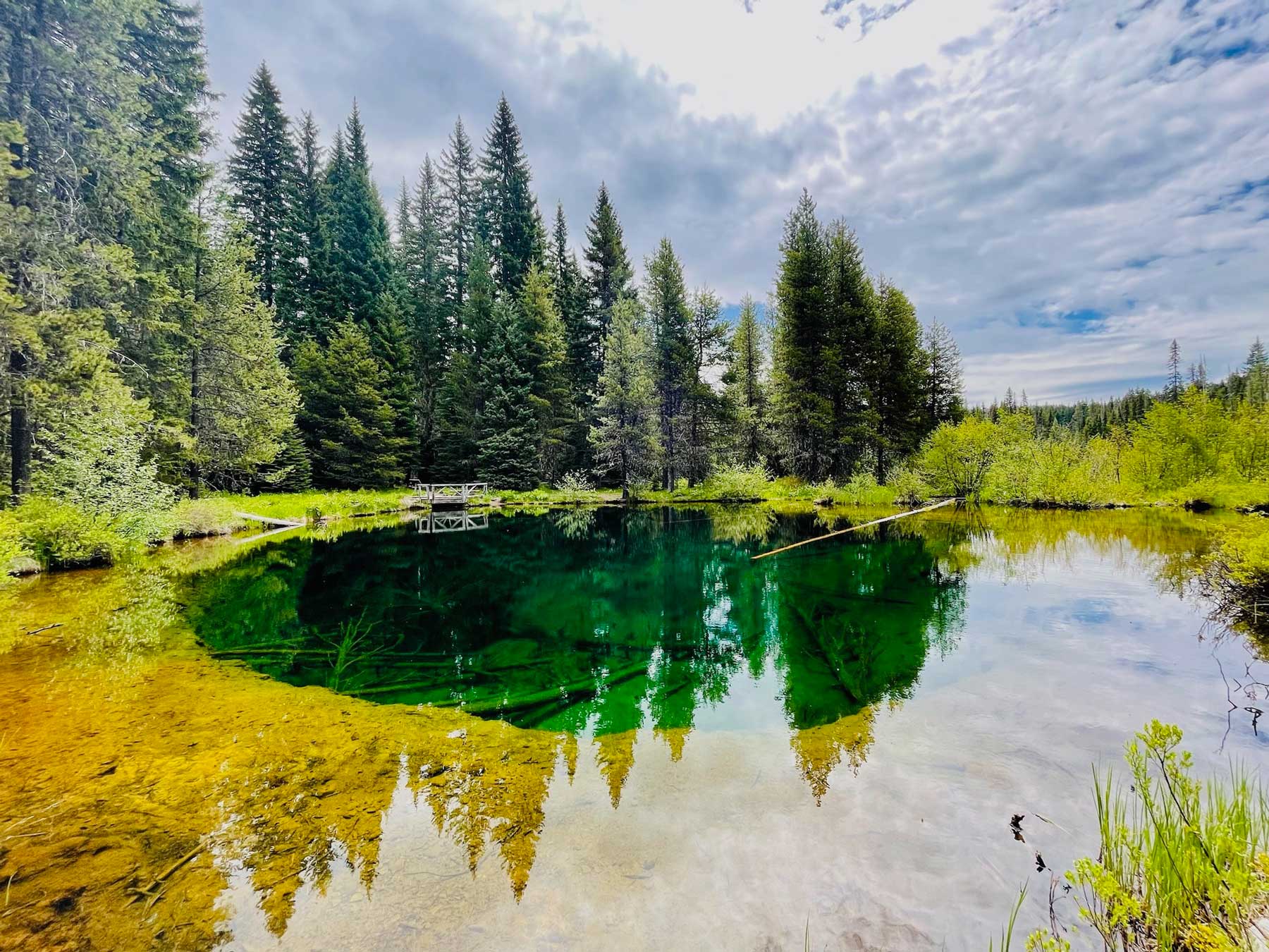 A small, emerald colored lake with a wooden lookout at the far end surrounded with trees and tall meadow grass, with logs visible at the bottom of the lake's clear water, with a partly cloudy sky