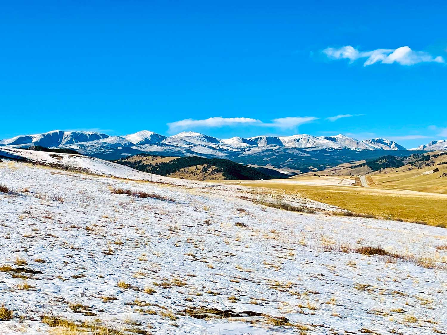 Grasses emerge from a snowy meadow in the foreground, with forested hills in the background leading to rocky peaks with a road on the left side of the frame