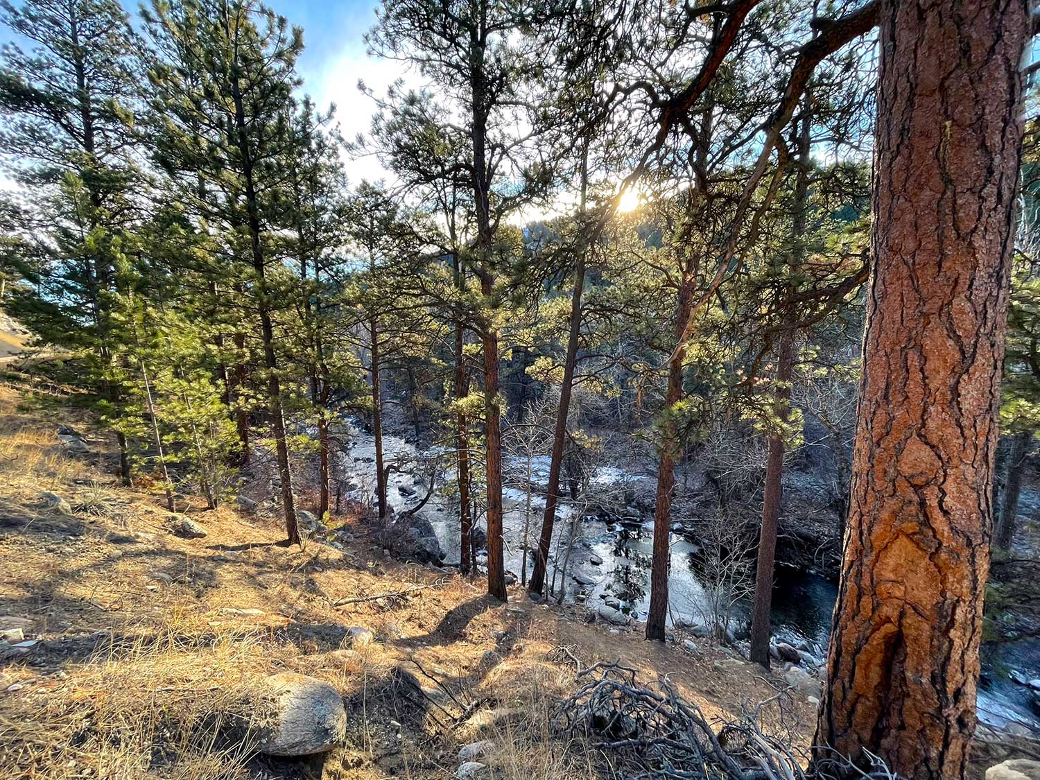 Pine trees line a partially frozen creek with the sun cresting a hill in the background