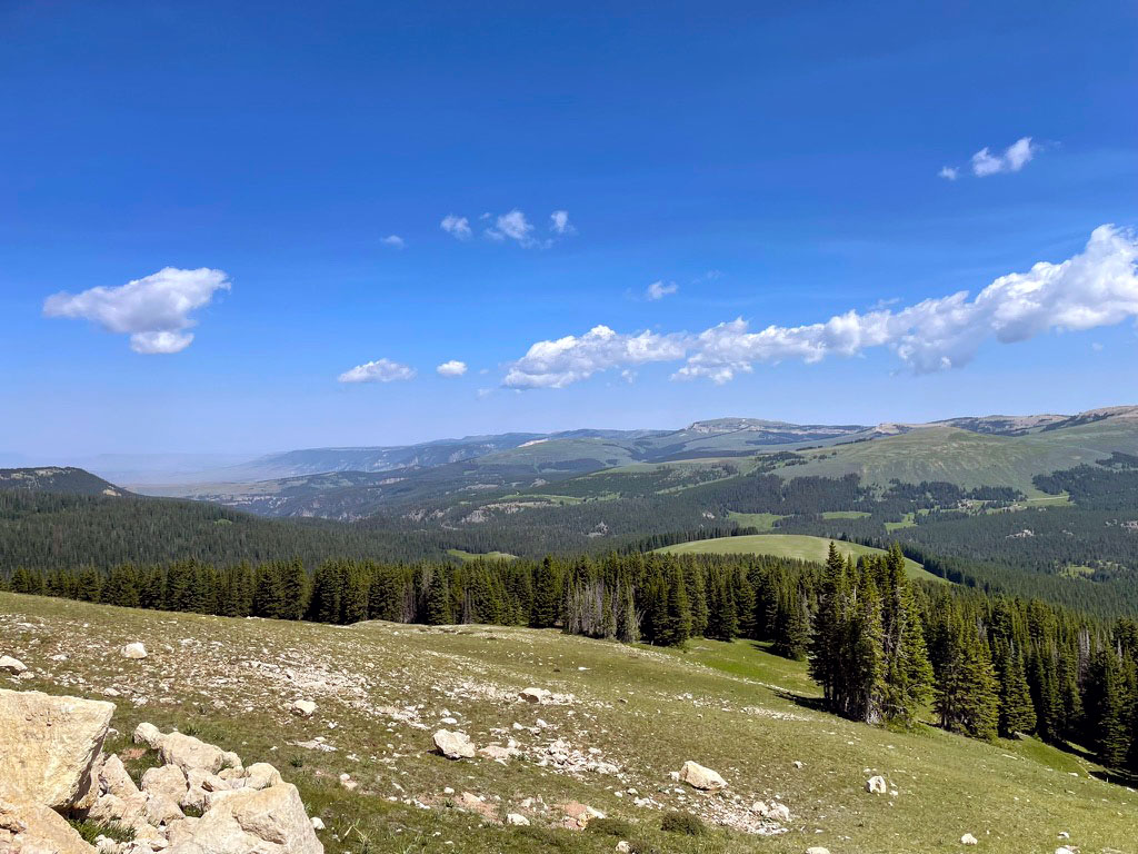 Green mountain slopes lined with evergreen trees with rocks in the foreground and blue sky with a line of white clouds above