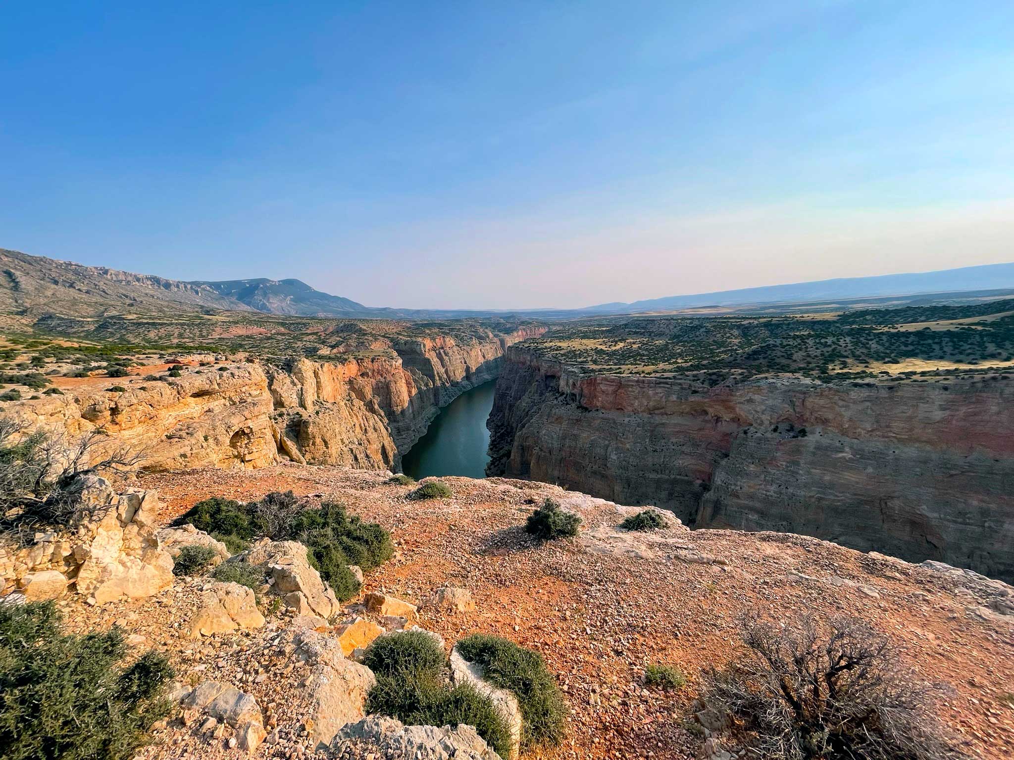 A deep canyon carves through desert rock with yellow, orange, and tan rock, with the ground on each side dotted with desert shrubs