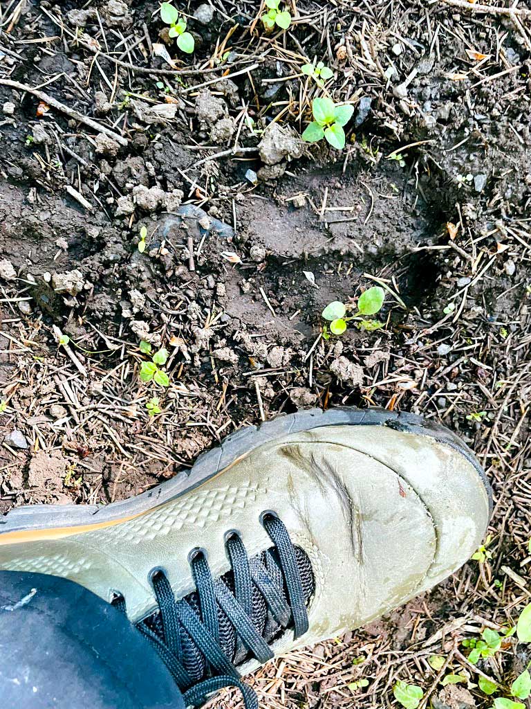 A green boot next to an elk track in the mud