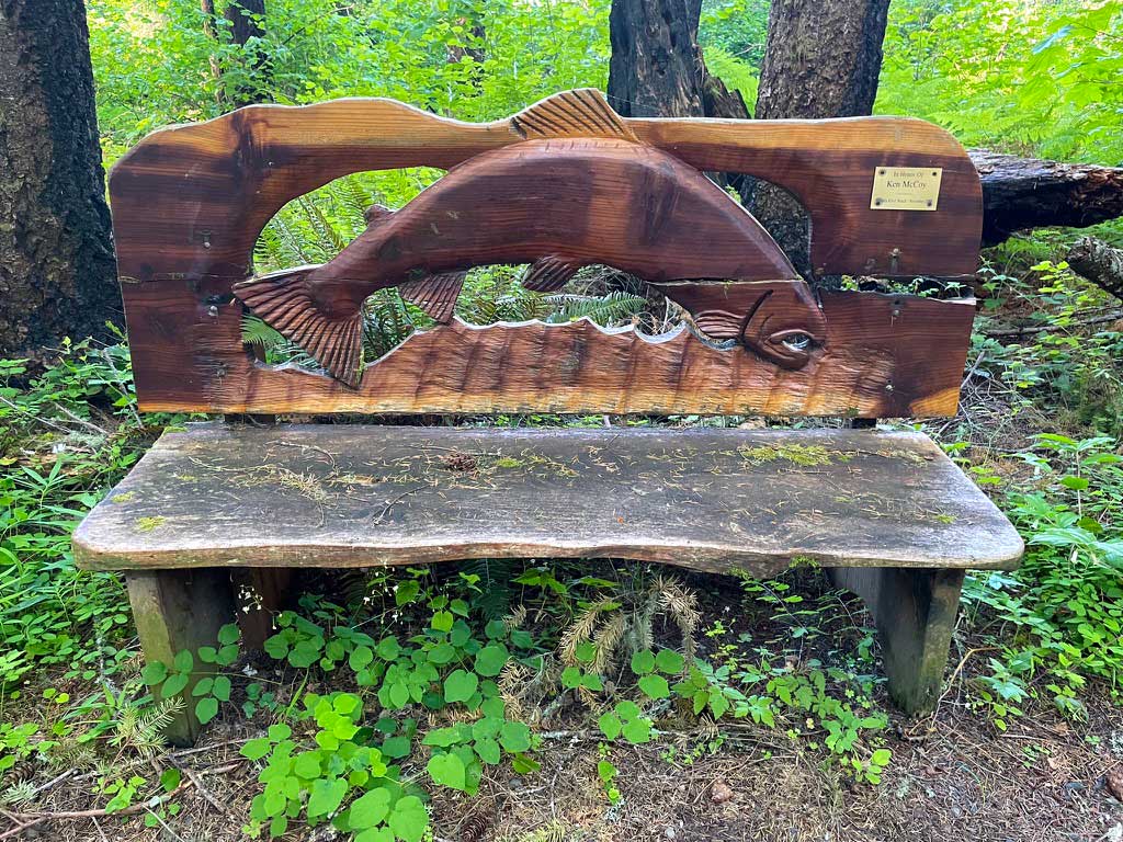 An ornate bench in the woods with a salmon carved into the back of the bench
