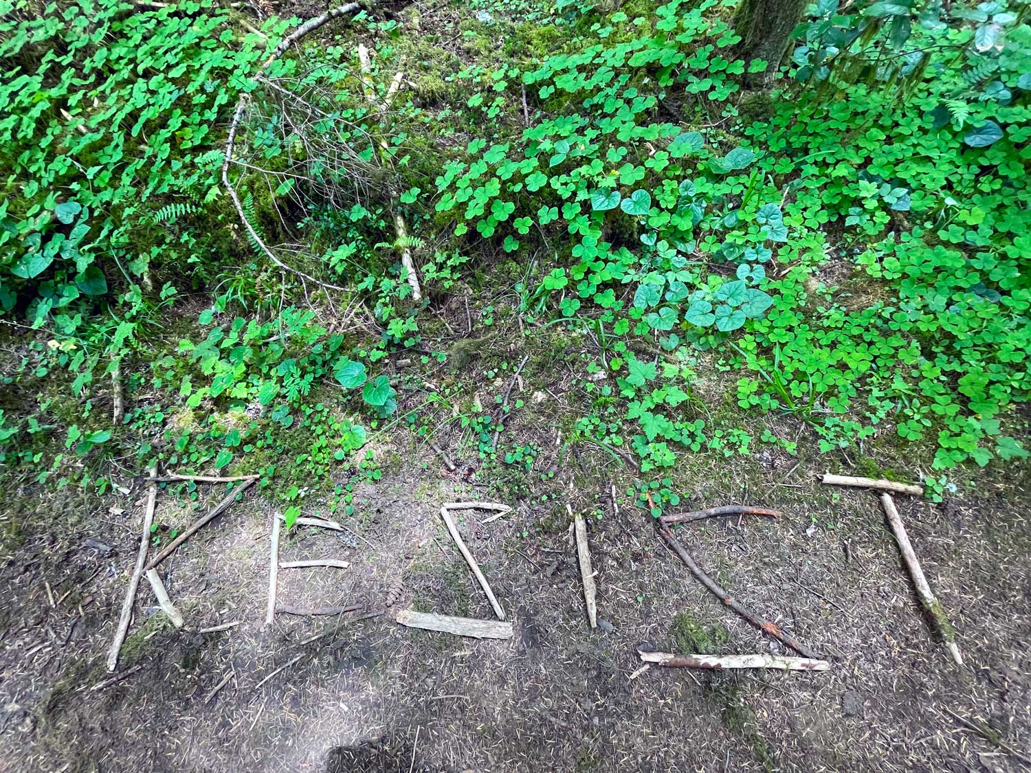 The word resist is spelled out with sticks with green foliage nearby