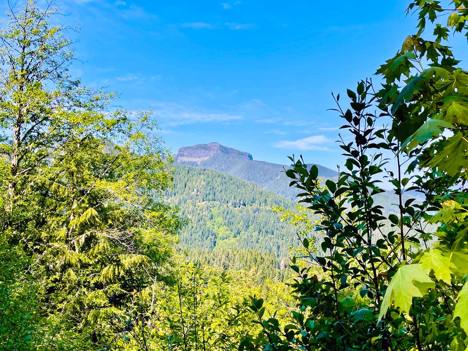 A large rocky plateau in the background with green foliage in the foreground