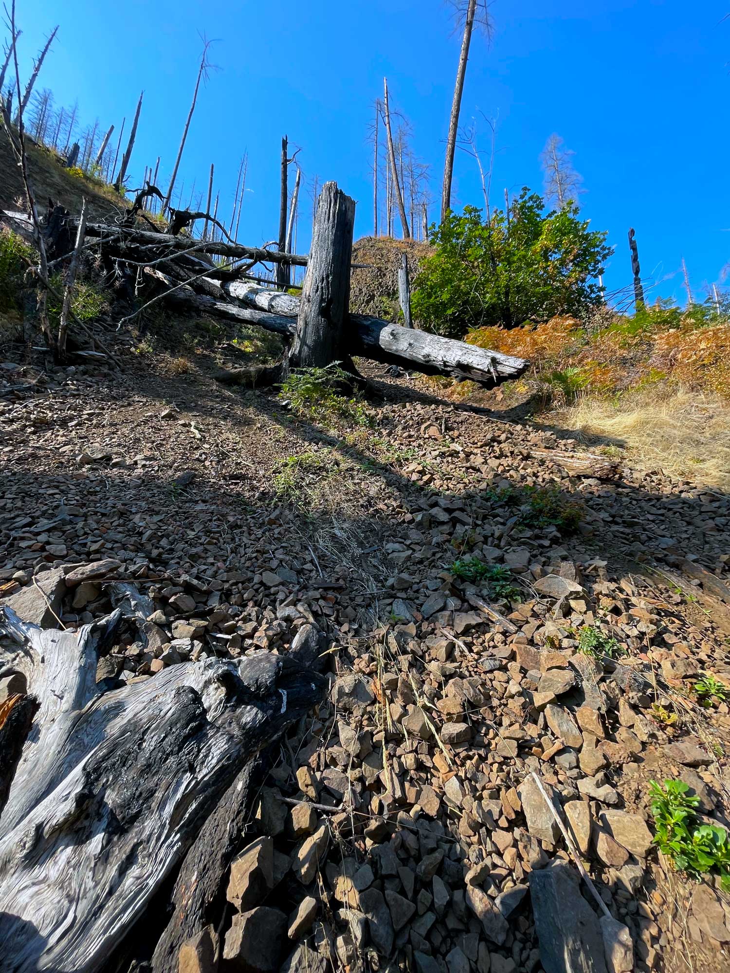 Looking uphill at a rock slide and burned trees and stumps
