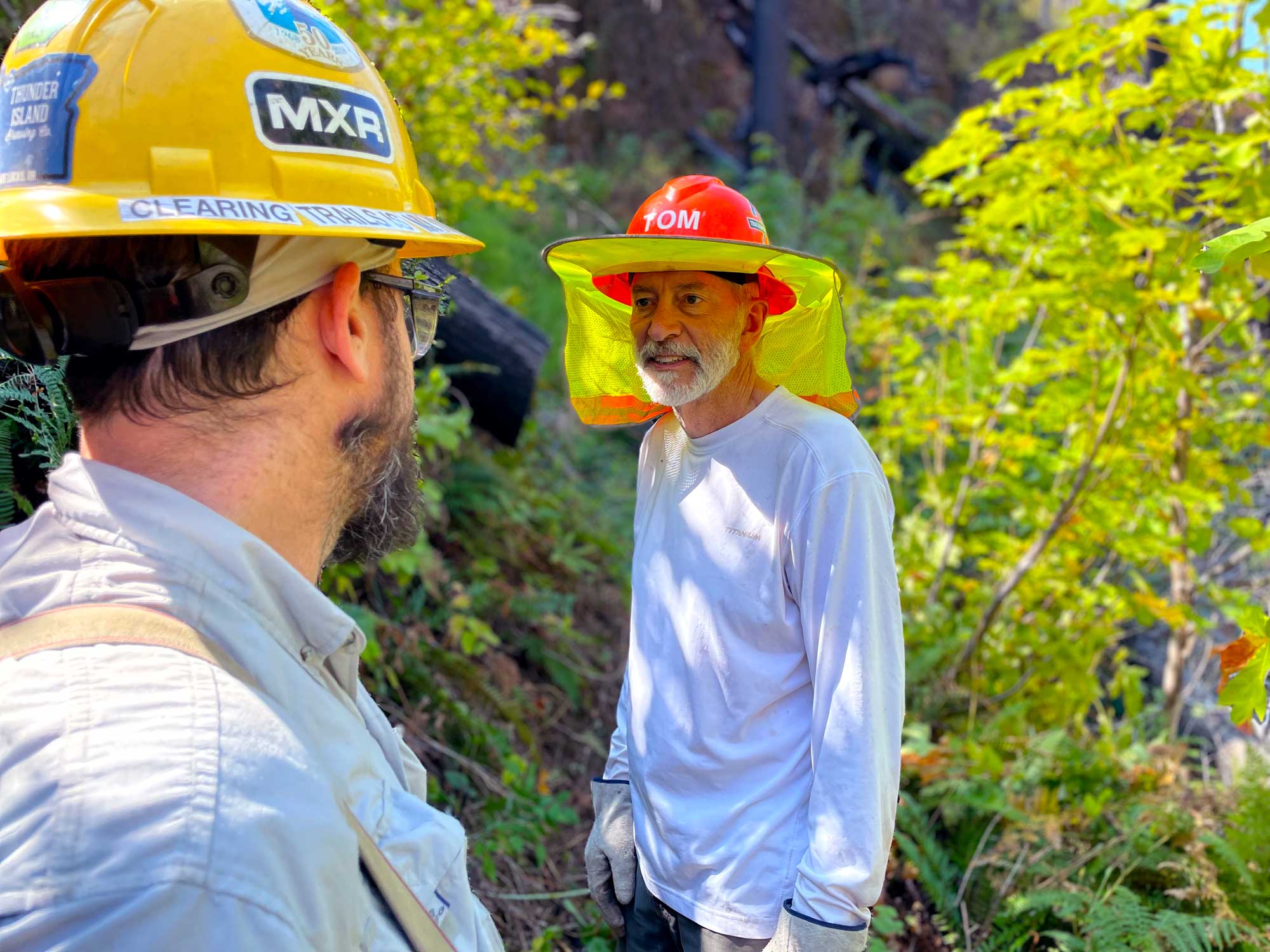 Two men in hardhats standing among trees lit by sunshine