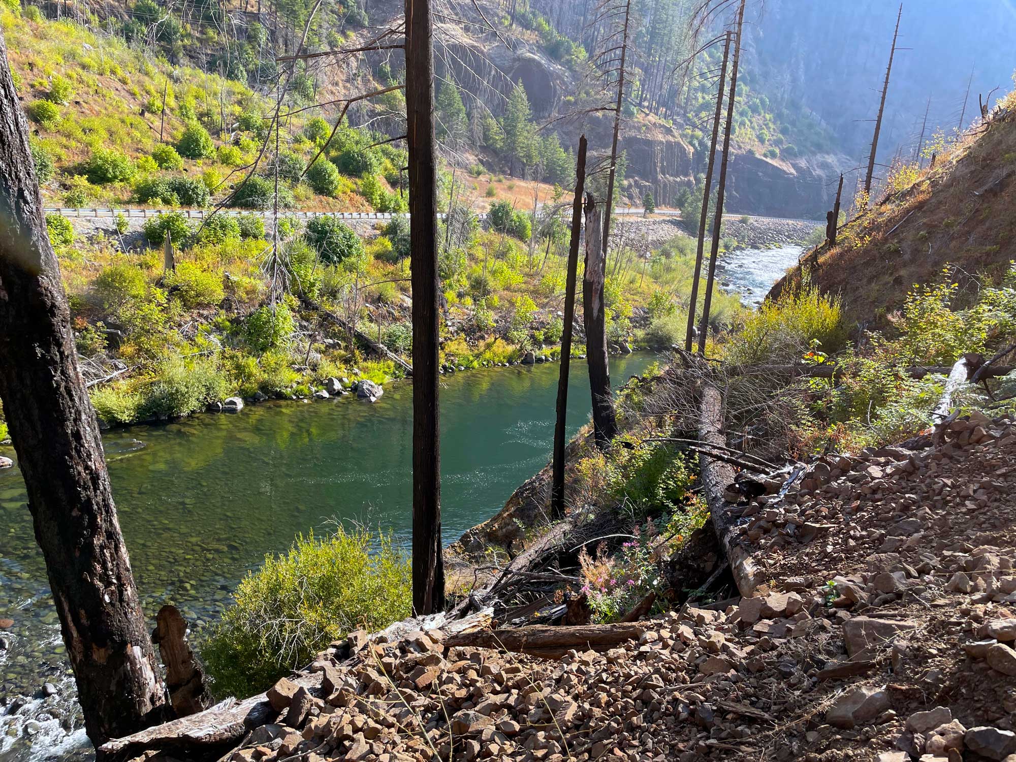 Burned trees line a hillside with a river flowing through