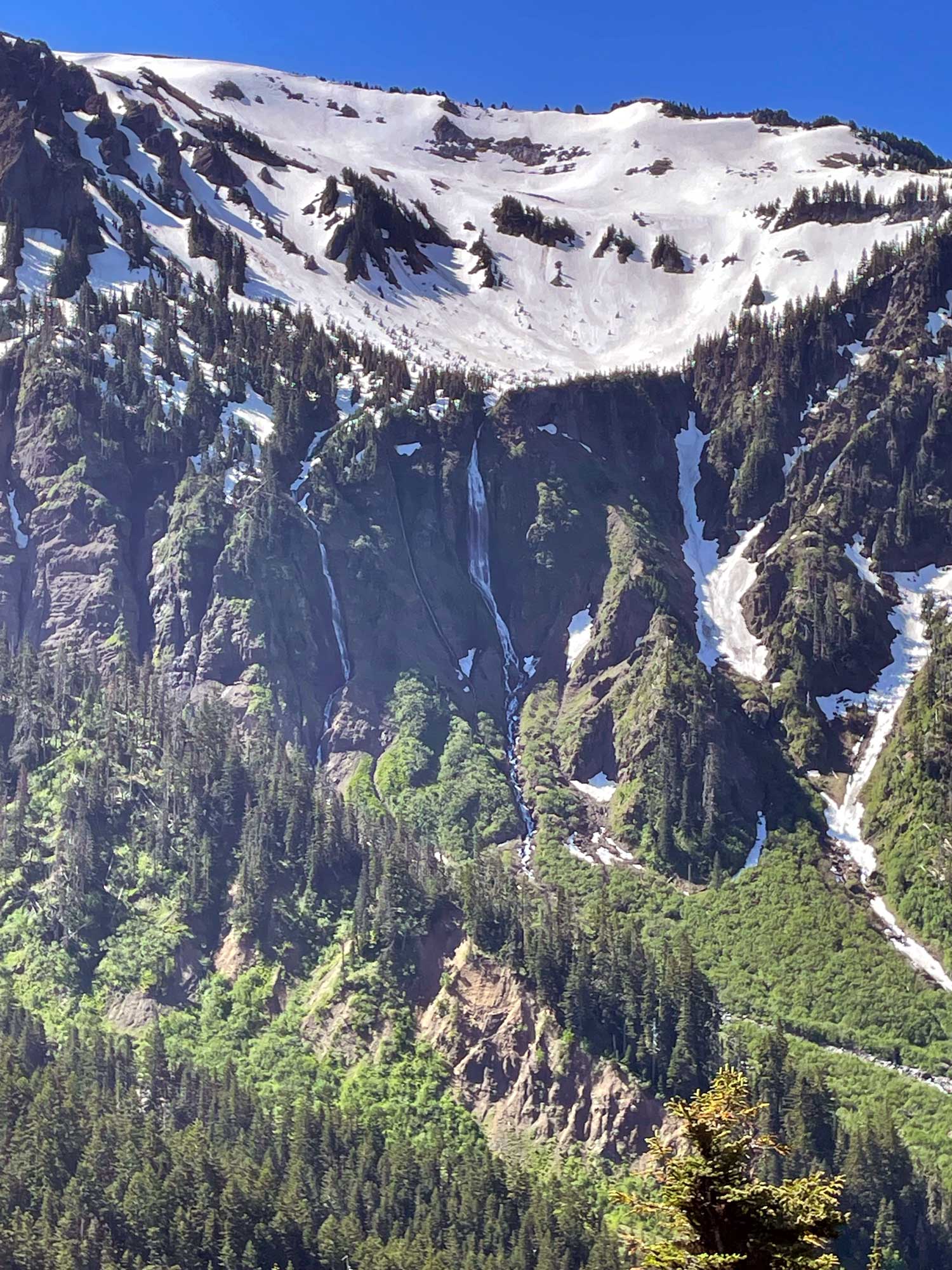 The side of a mountain ridge with snow leading to canyons of snow and waterfalls with a forested canyon below