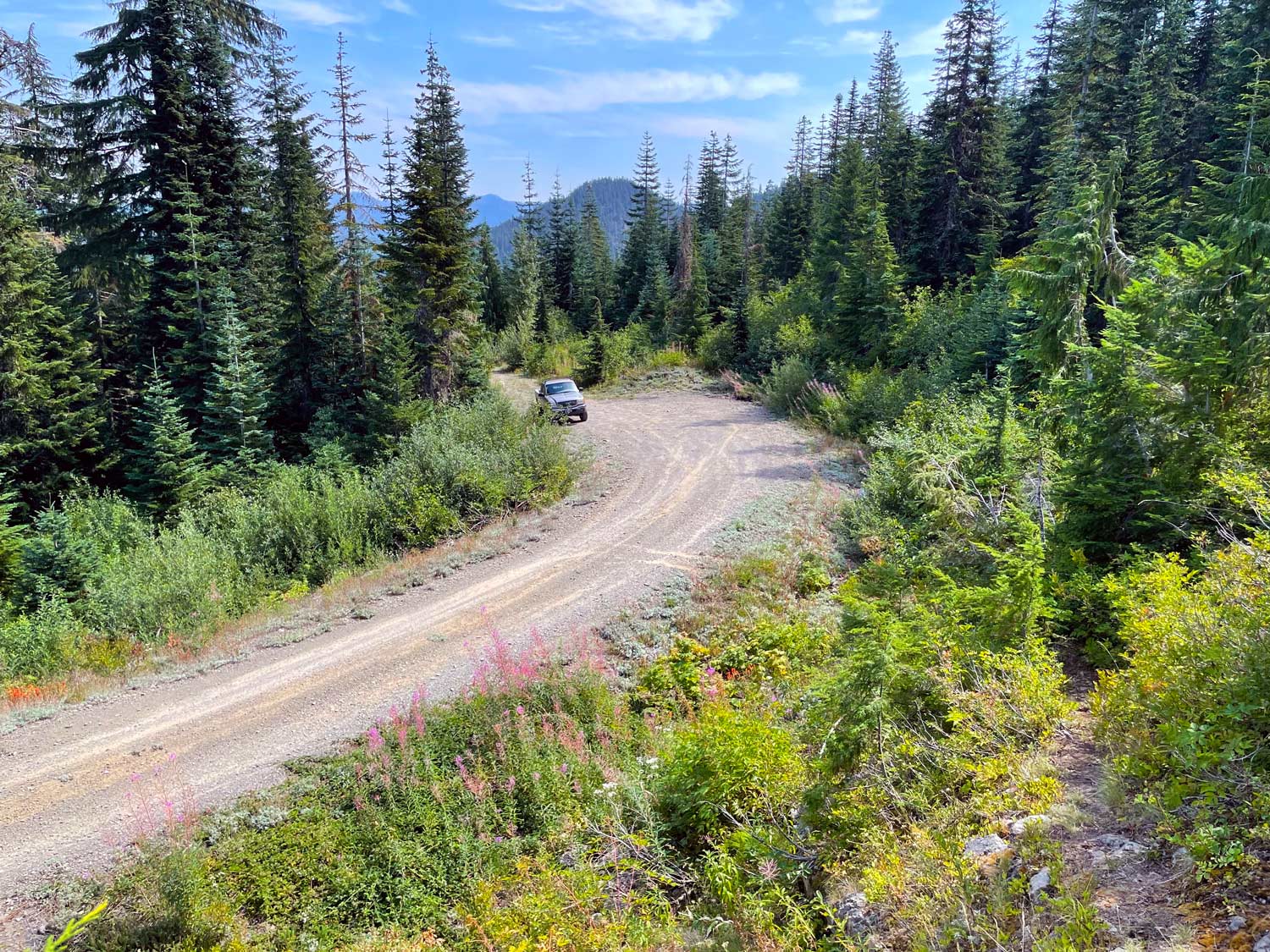 A truck parked by itself on a gravel road lined with trees and brush