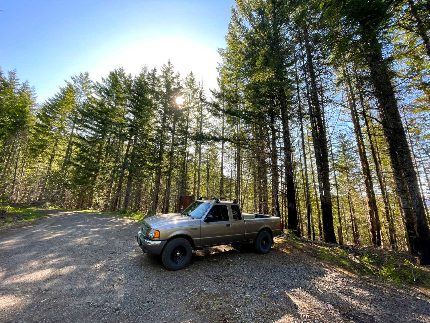A tan pickup truck in a gravel parking area with tall trees in the background