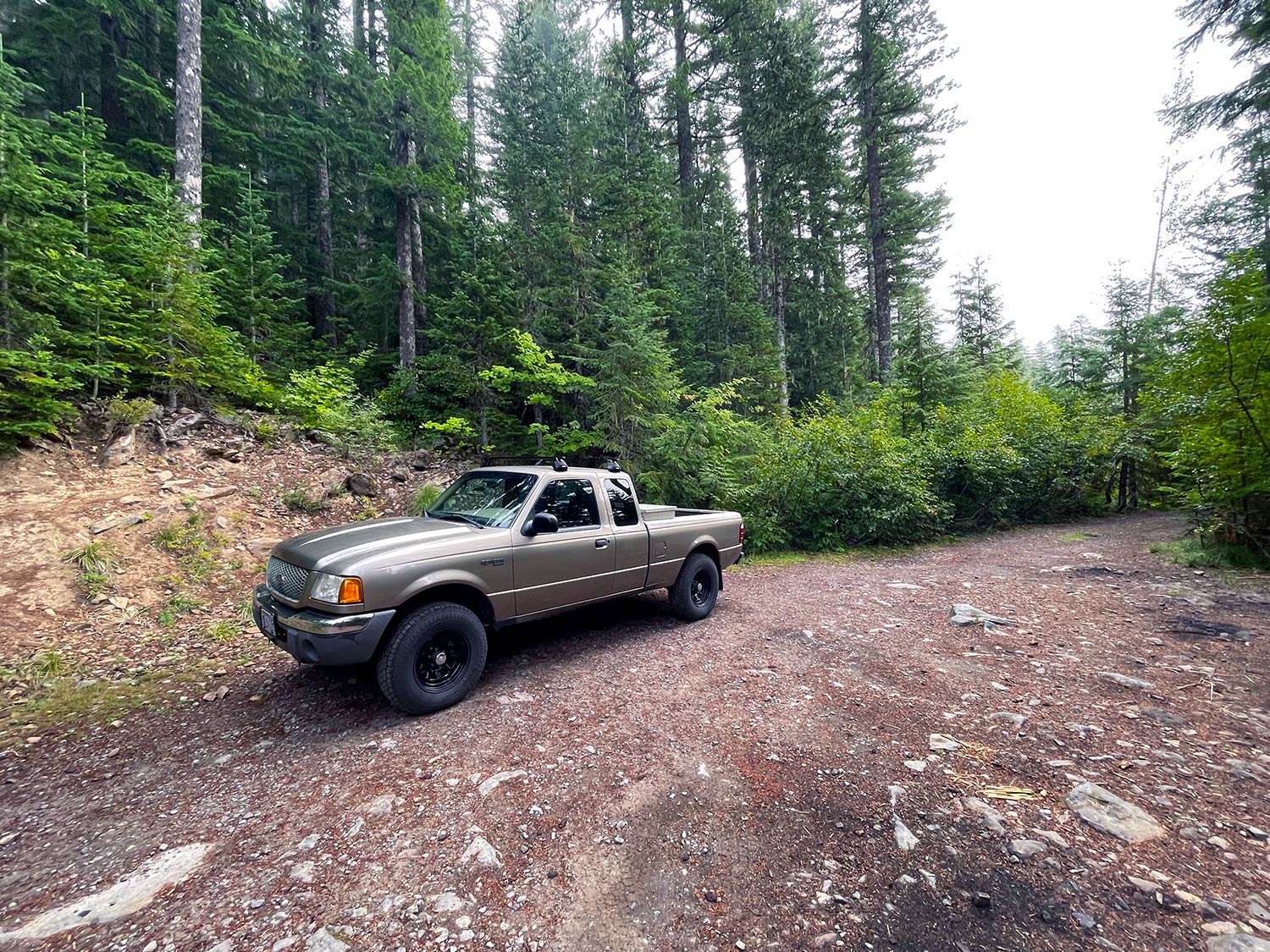 A tan pickup truck parked in a rocky opening with trees around