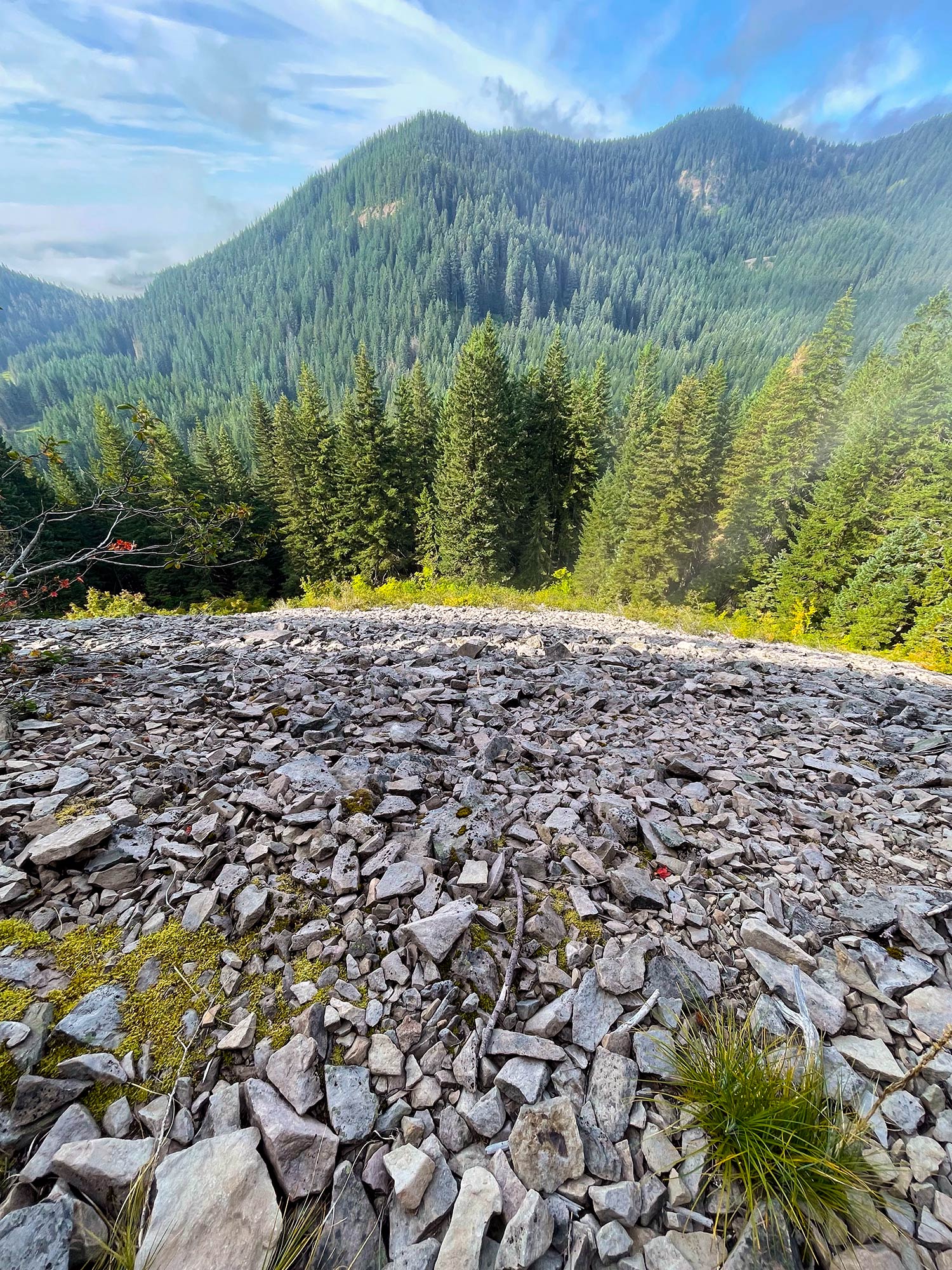 A rock slide on a downhill leading to a forest and hills in the background