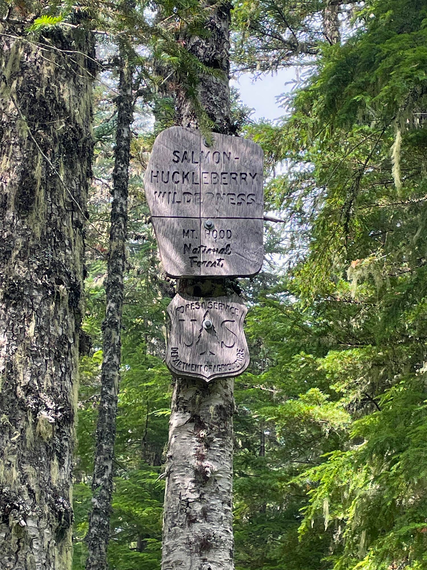 Wooden signs attached to a tree, one reading Salmon Huckleberry Wilderness Mount Hood National Forest and the other reading U.S. Forest Service Department of Agriculture