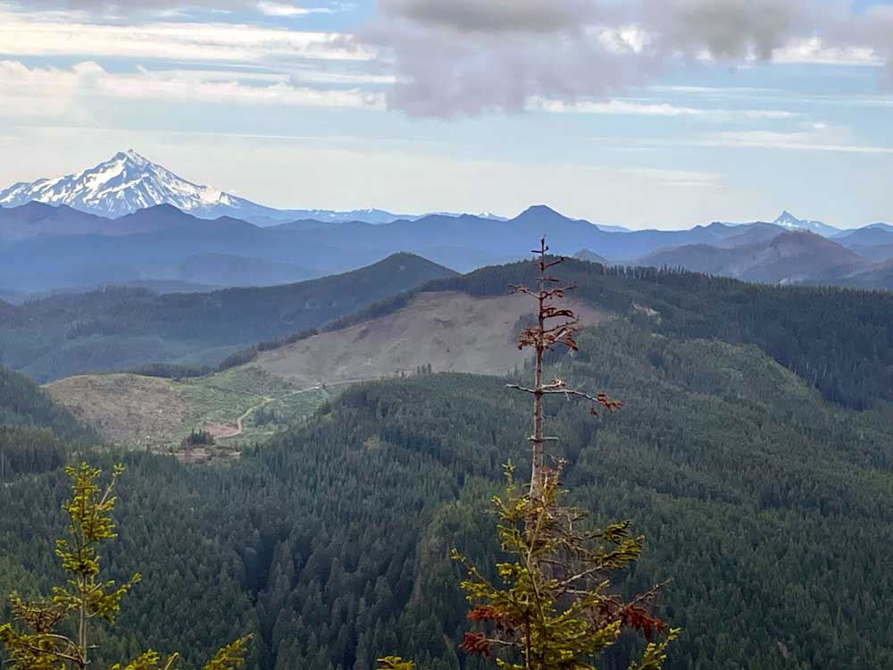 A snow-capped mountain peak with grey and white clouds above, and forested and clear-cut hills in the foreground