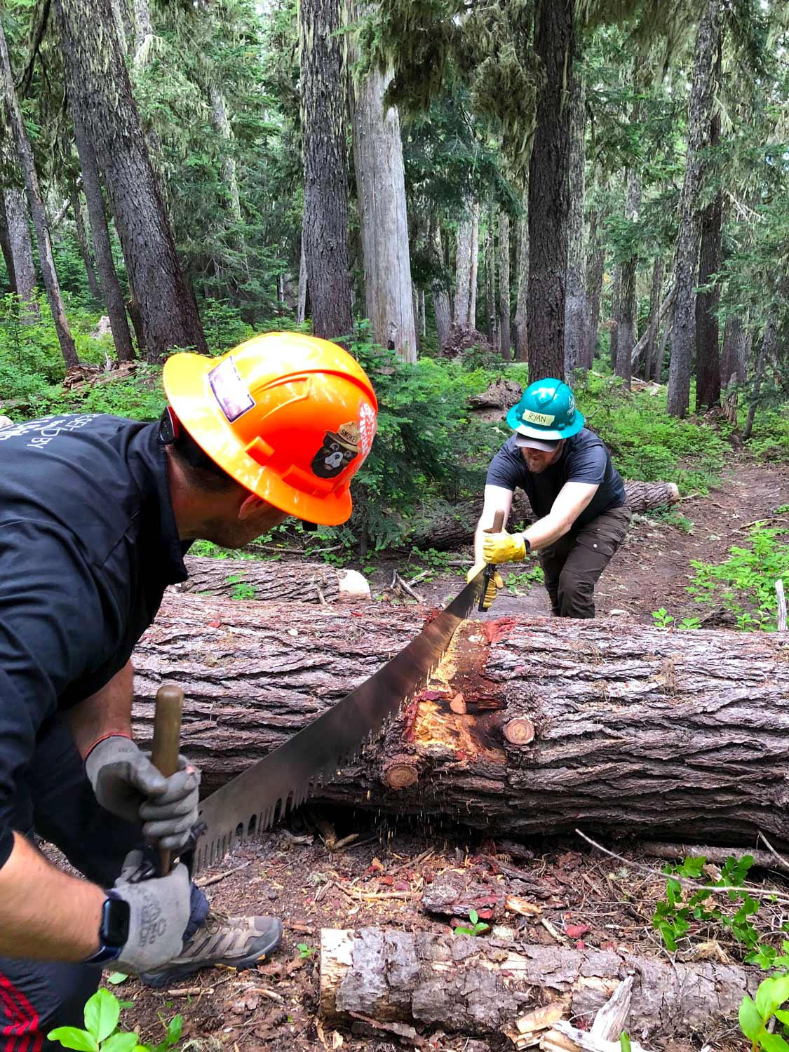 Two people in hardhats, one green and one orange, use a crosscut saw to cut through a large log with a trail in the forest behind one of the people