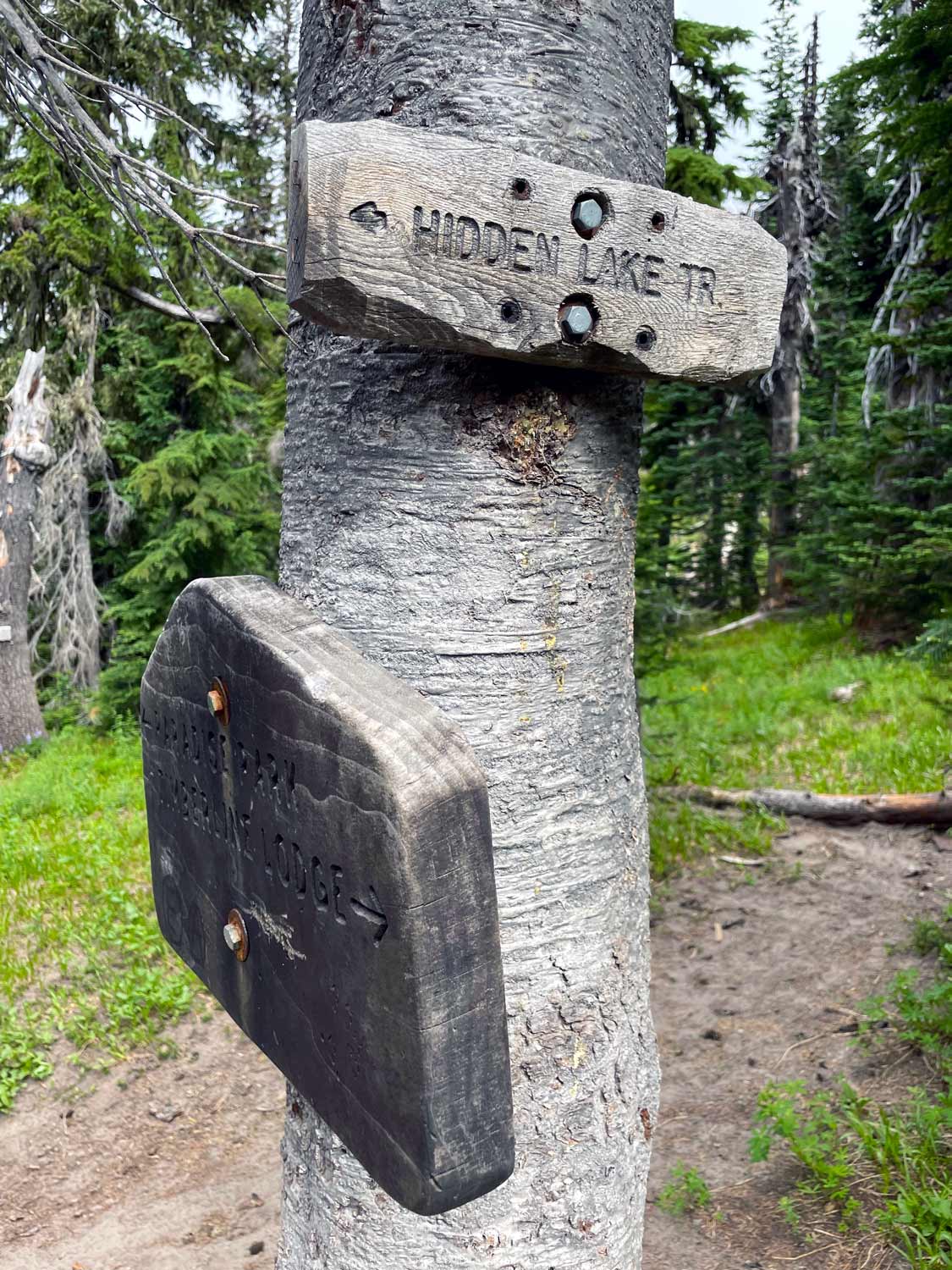 A wooden sign bolted to a tree reads Hidden Lake TR, with another wooden sign below