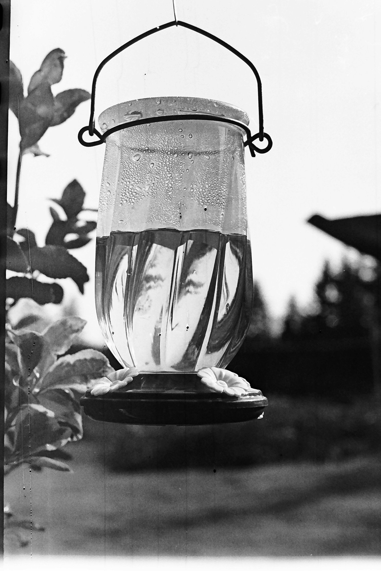 A birdfeeder hanging from the edge of a roof